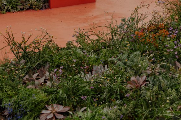 The garden includeshundreds of perennials, annuals, shrubs and succulents. 