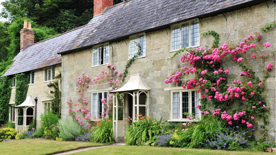 Traditional English Cottage and Garden climbing roses