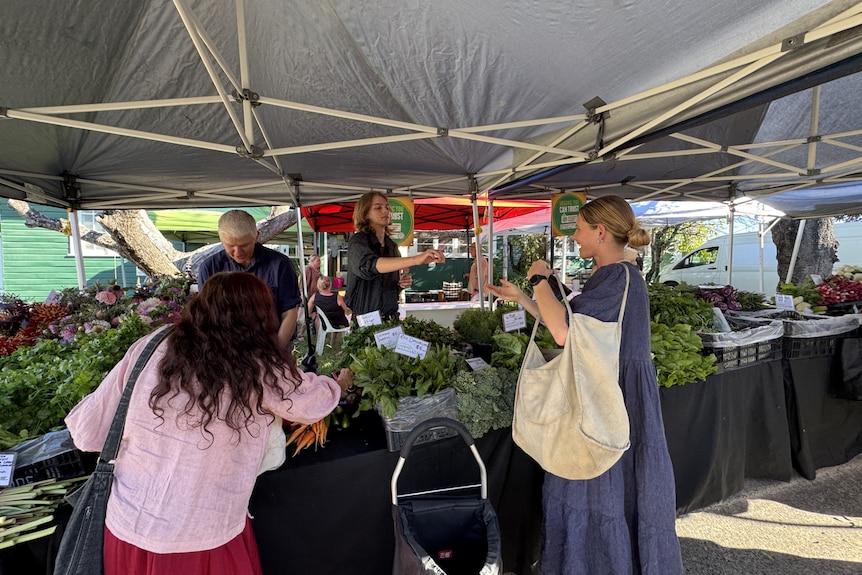Two women shop for vegetables at a market stall.