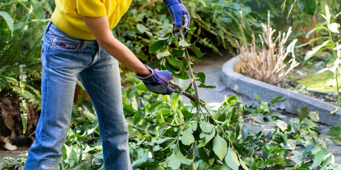 6 Gardening Chores to Do In April for a Beautiful Garden