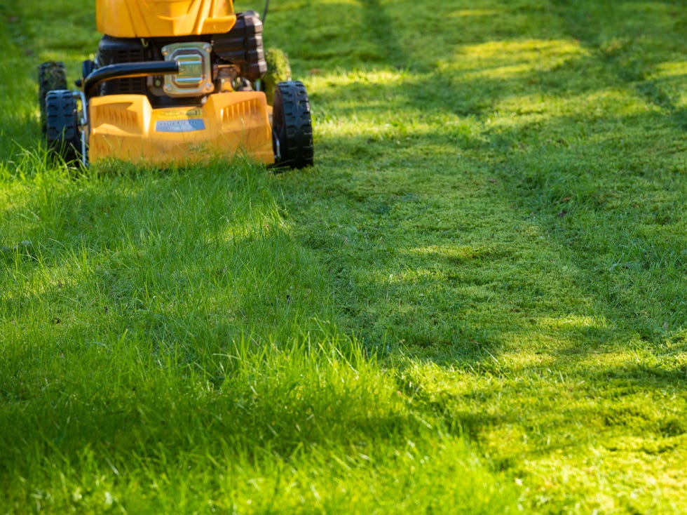 lawn mower on grass in garden
