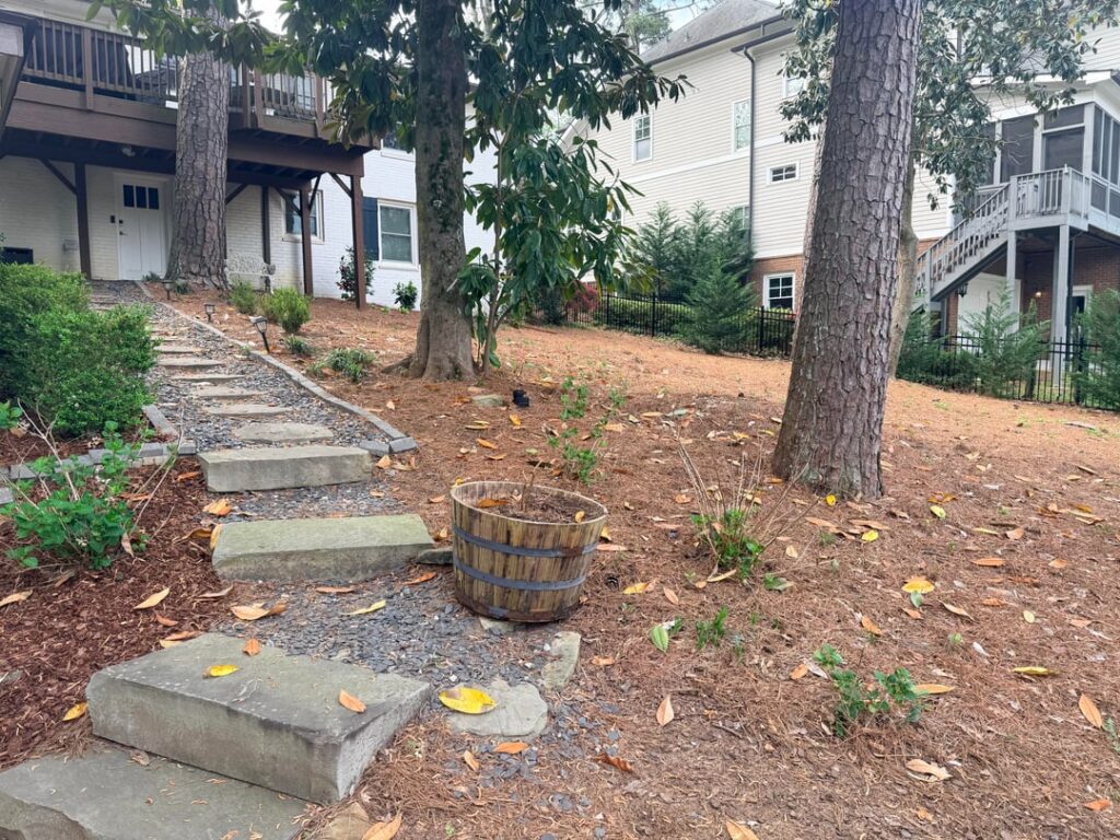 Flatten Backyard