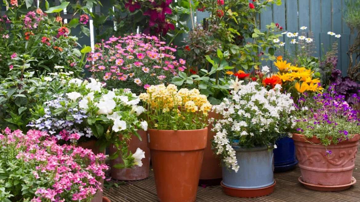 13 Small Space Gardening Ideas That Make Every Inch Count (Even If All You Have Is a Balcony) Yahoo lifestyle home