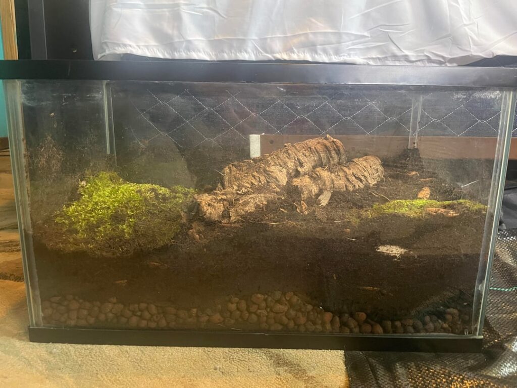 Tips on what to add/change? Tips on what to add/change?