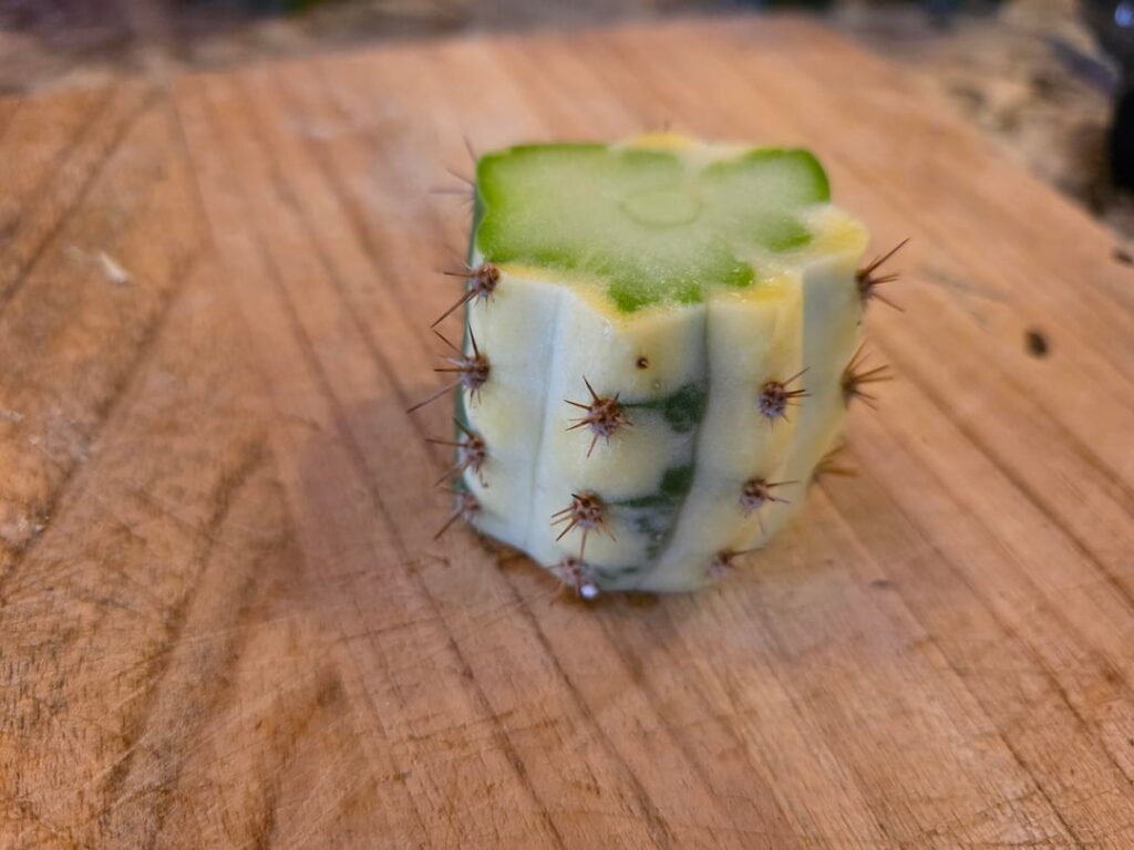 Thoughts on where to cut this puck into a slab? Vari grogu