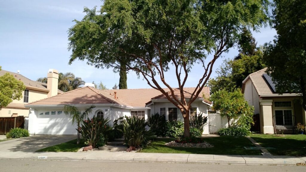I used to hire a company to prune my tree every couple of years. The first 2 photos are how it looked when they were done. Last year I hired a different company and they basically tipped it. The last 3 pictures is how it is growing now. Is the look of the tree ruined forever?
