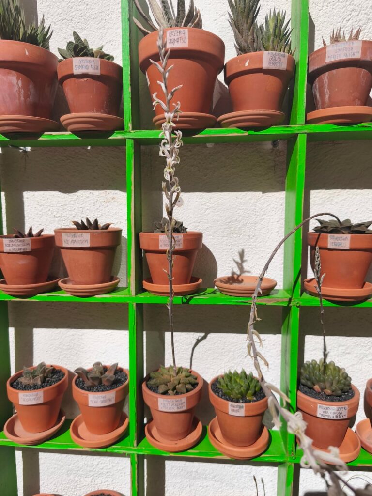 What a flower stack