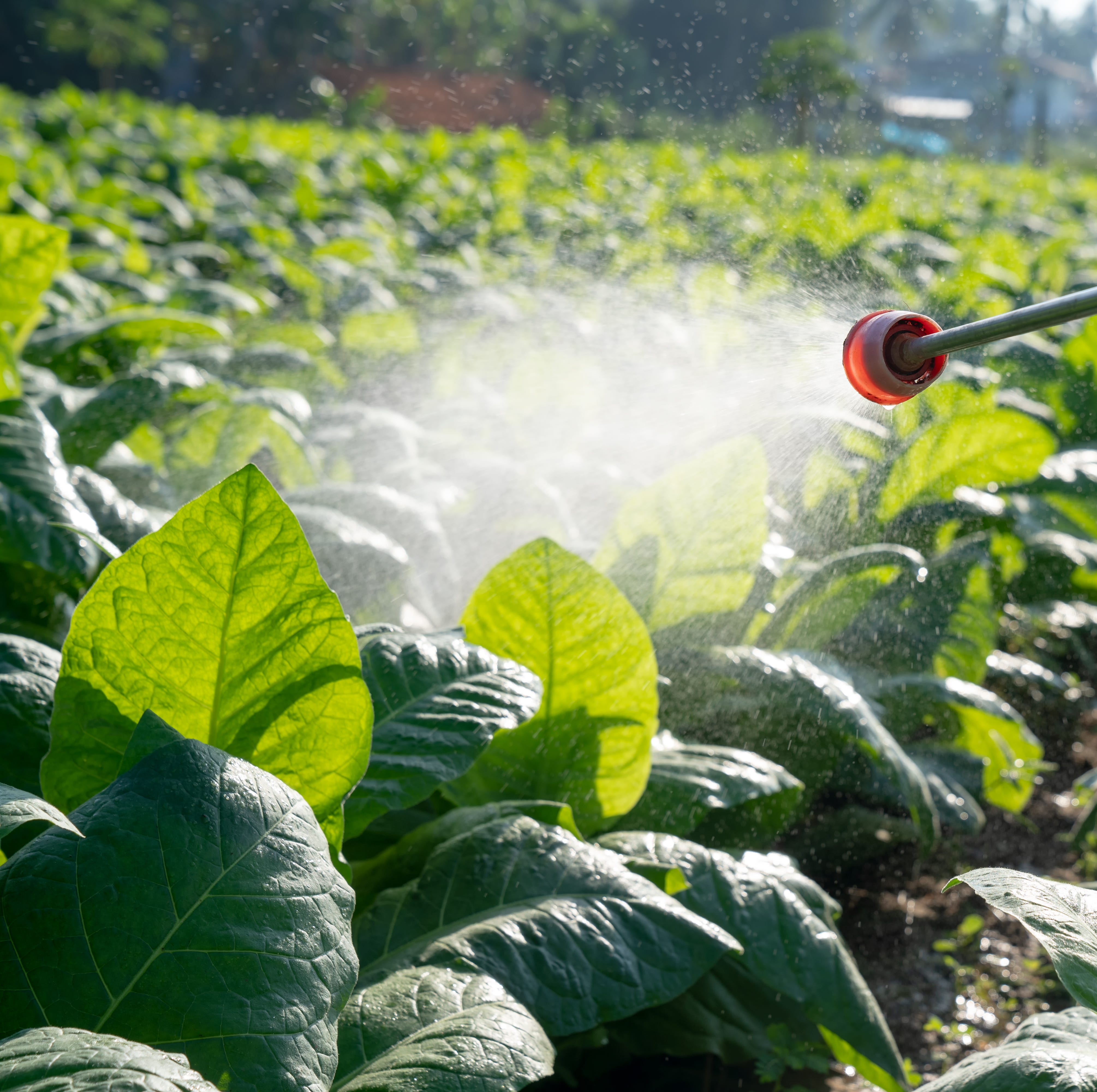 a farmer is spraying chemicals