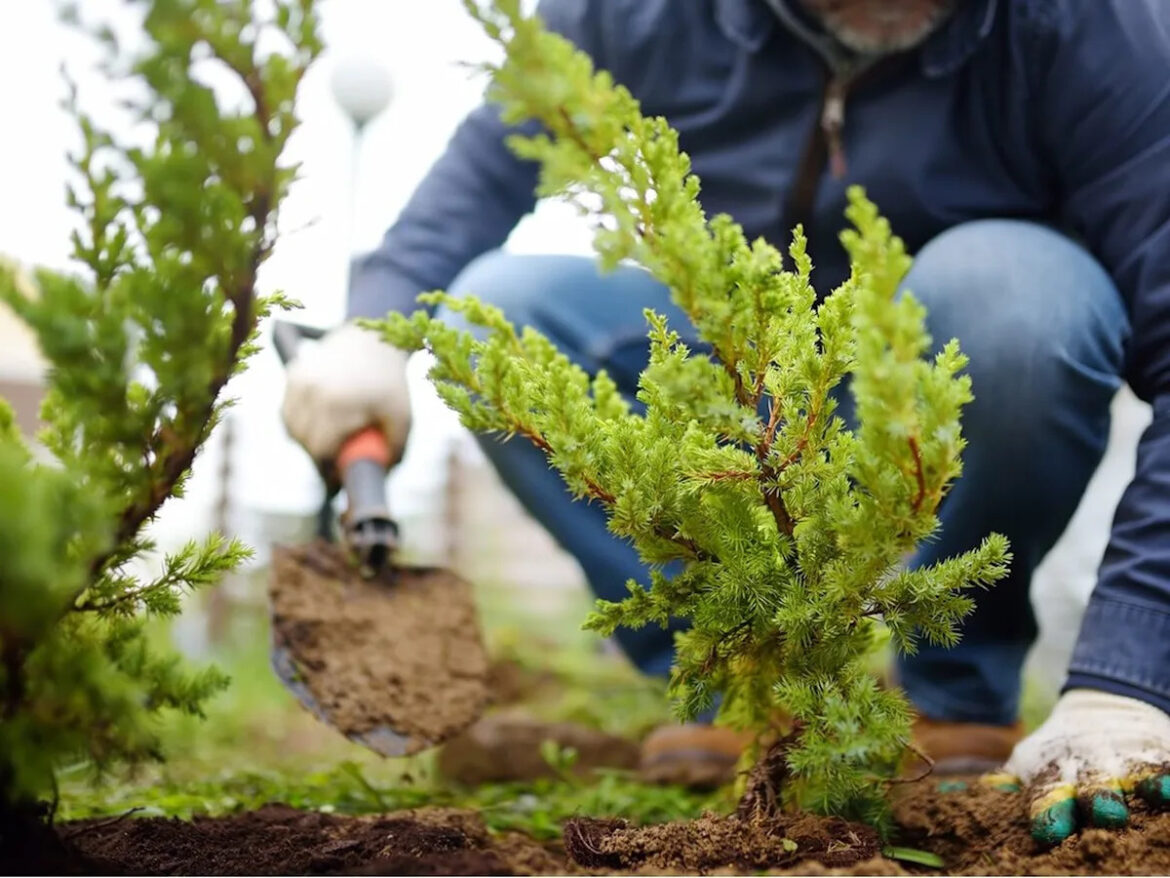 Growing Things: Your spring gardening clean-up checklist Growing Things: Your spring gardening clean-up checklist