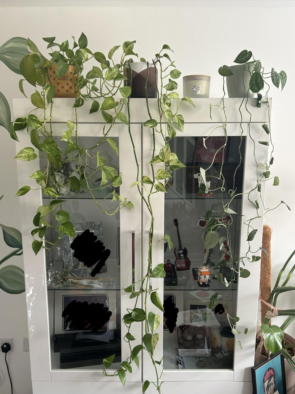 What to do with them… Advice welcomed What to do with them… Advice welcomed