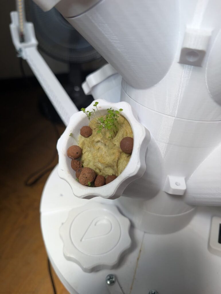 Help out – what am I doing wrong in my hydroponics tower? Help out - what am I doing wrong in my hydroponics tower?