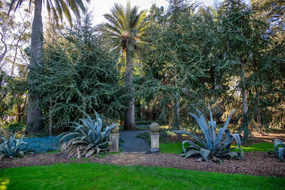 Photo credit: Lisa Eisner