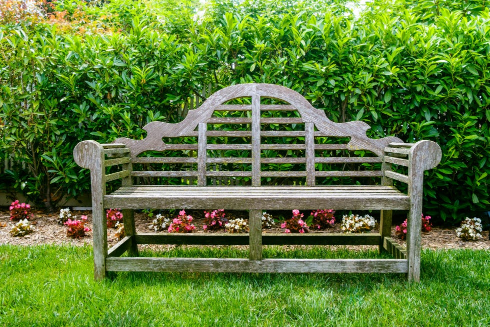 Wood Bench in Garden