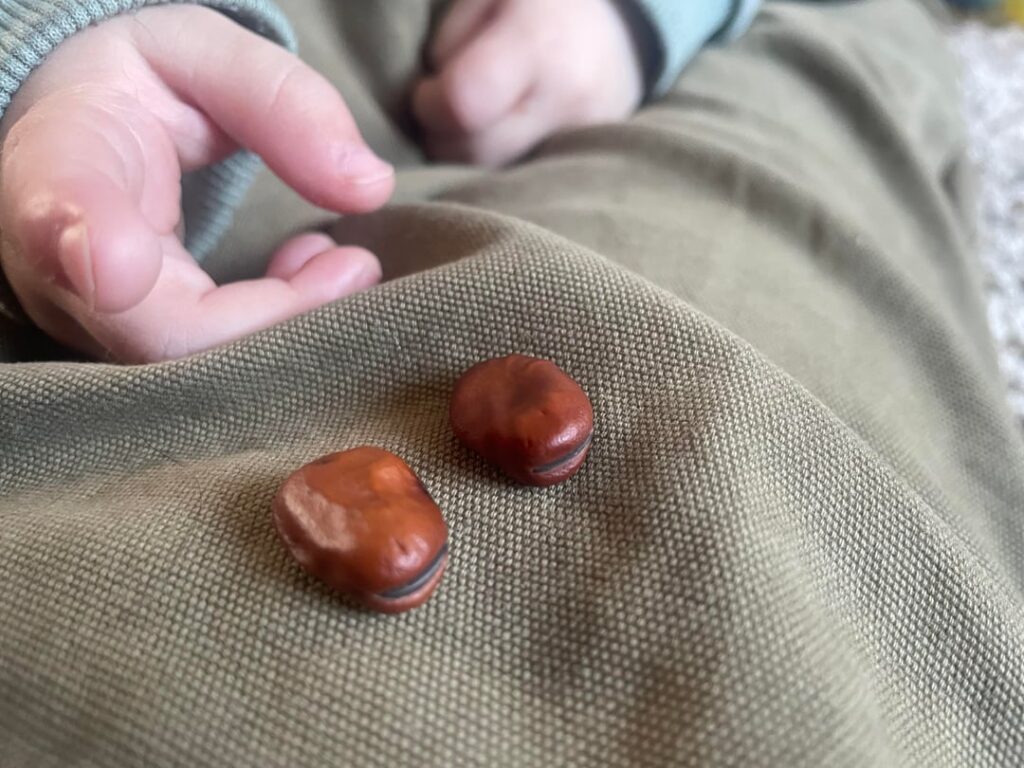 brought home from nursery