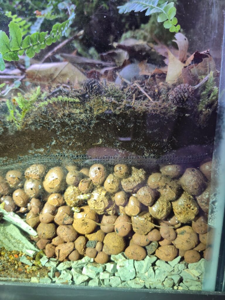 Why is my soil so wet? Why is my soil so wet?