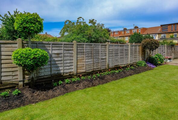 Flower bed with newly panted bedding flowers Flower bed with newly panted bedding flowers