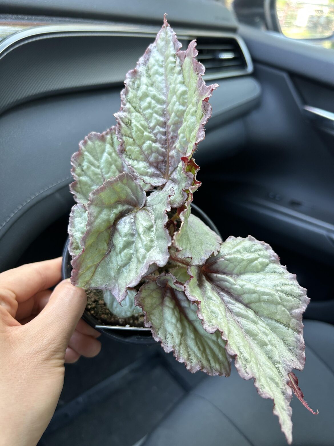 ID help