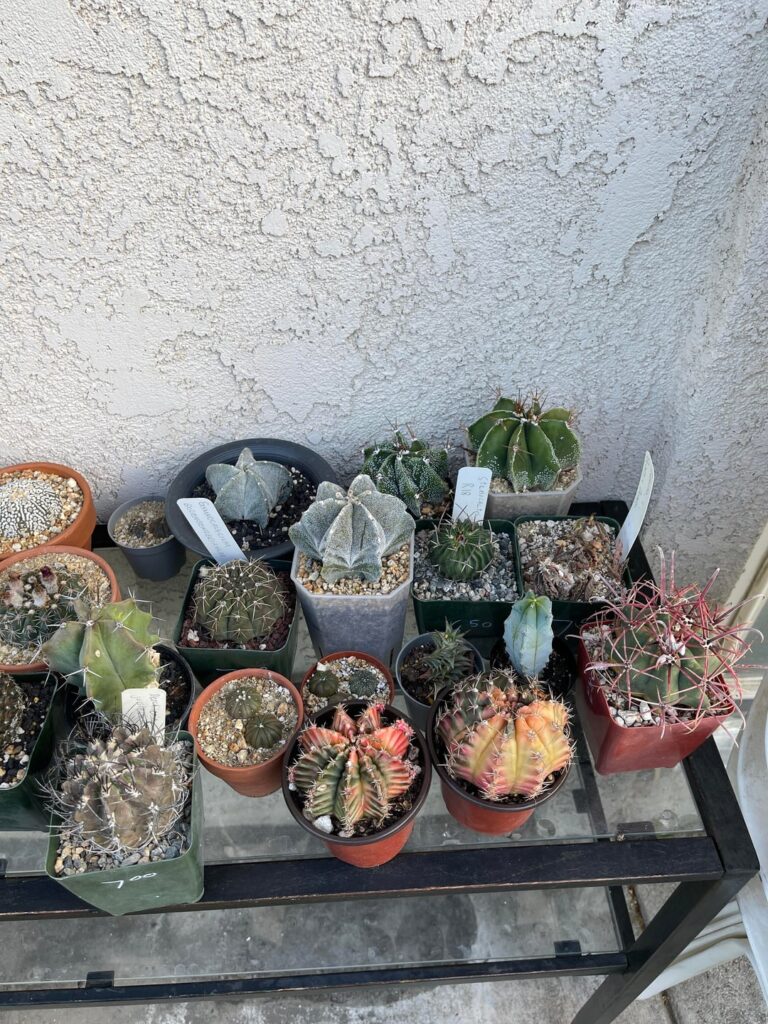 Rate my collection!!!