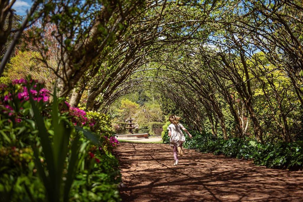 child running under an arbour towards a fountain on a hot day in Forest Glade Gardens