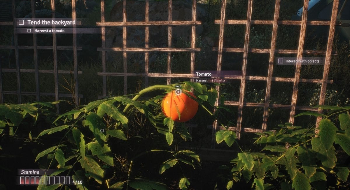 Harvesting a tomato in Fractured Blooms