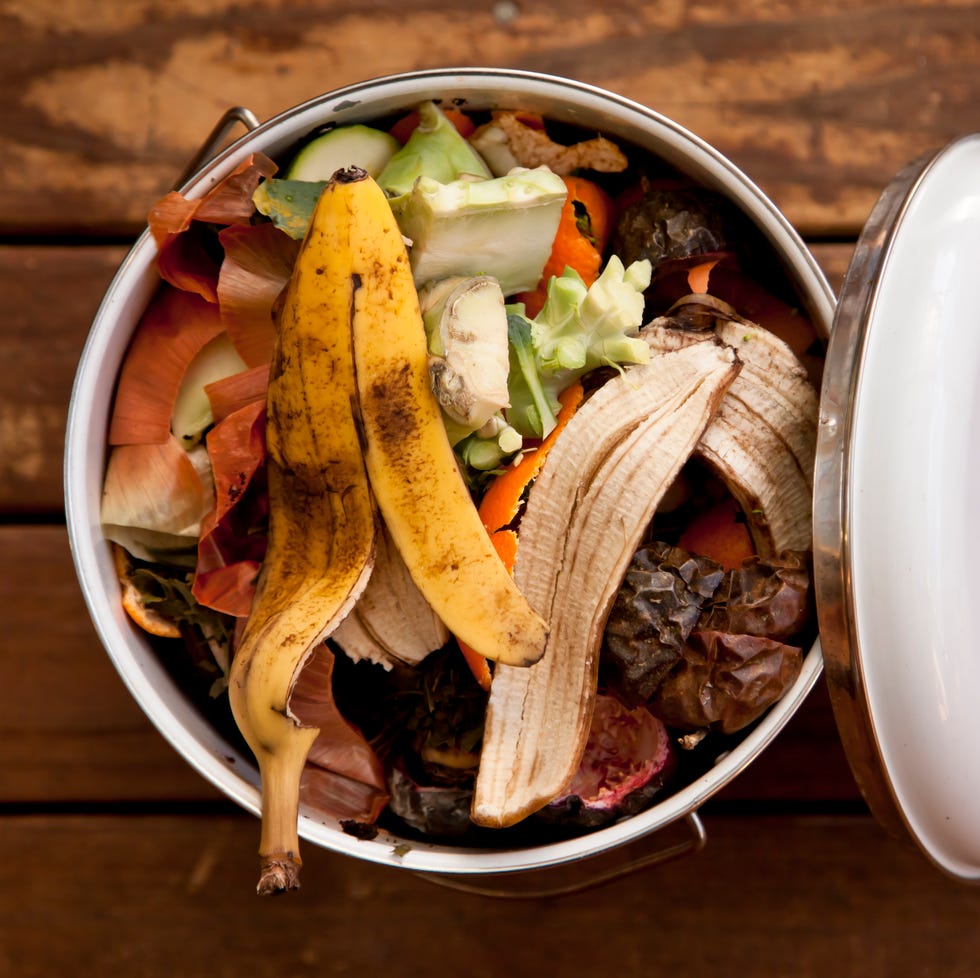 compost with vegetable scraps