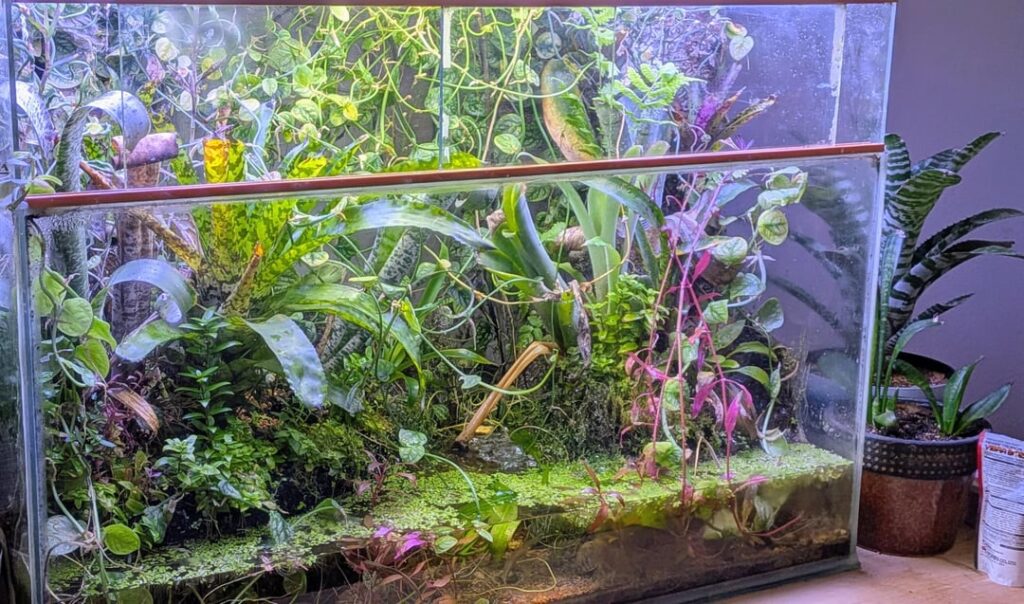 ~ 4 year old jungle box