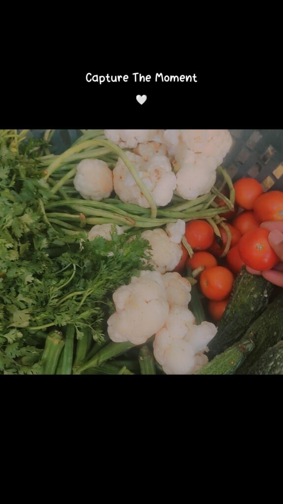 My clean and green vegetables, harvested today