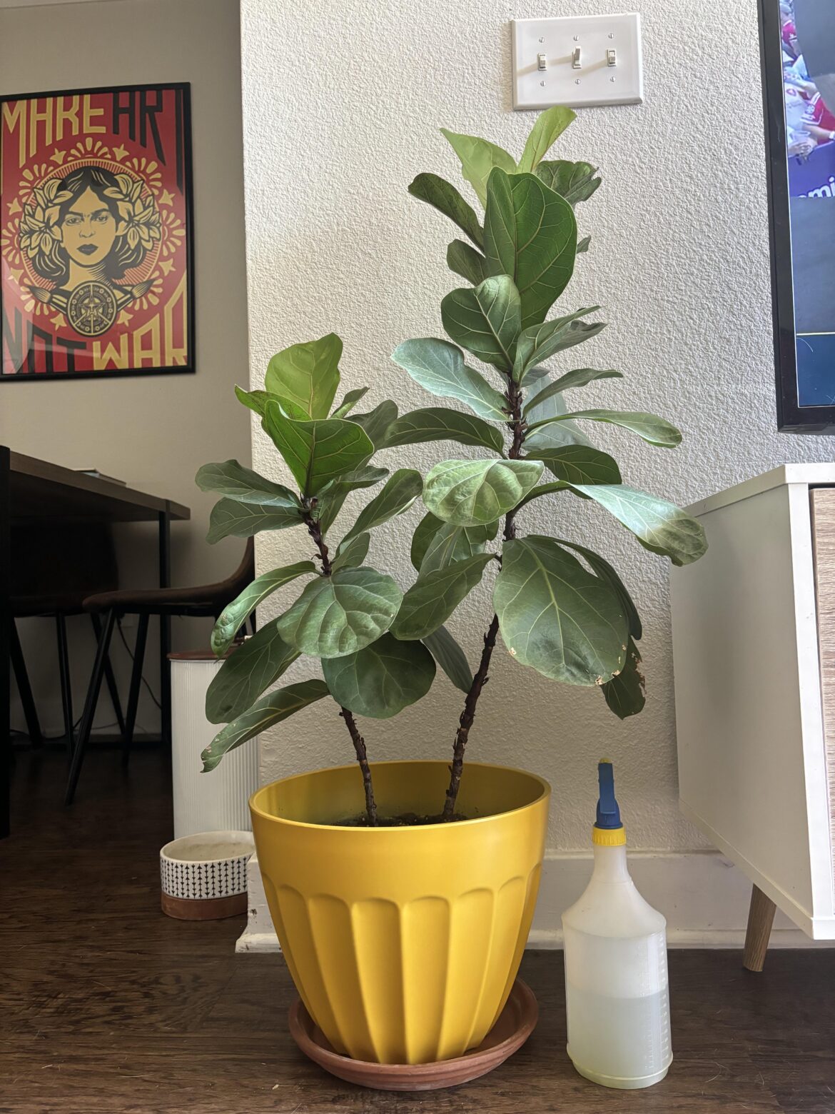 Should I separate these?