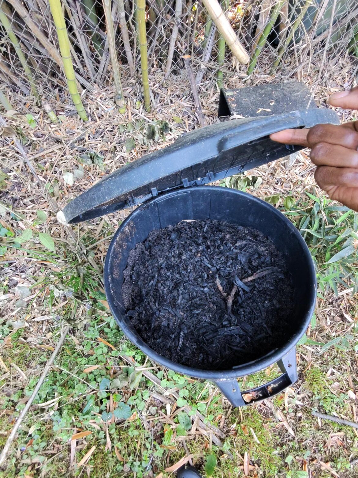 Biochar. Question