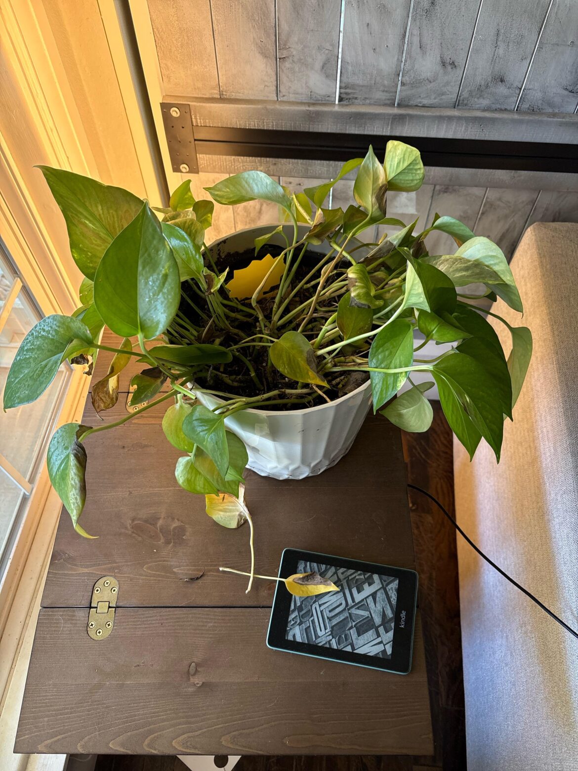 Need some help/advice