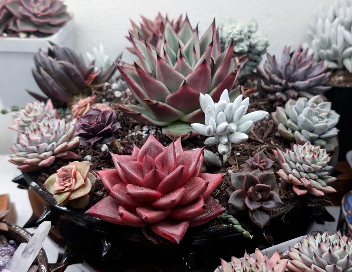 some of my favorites!