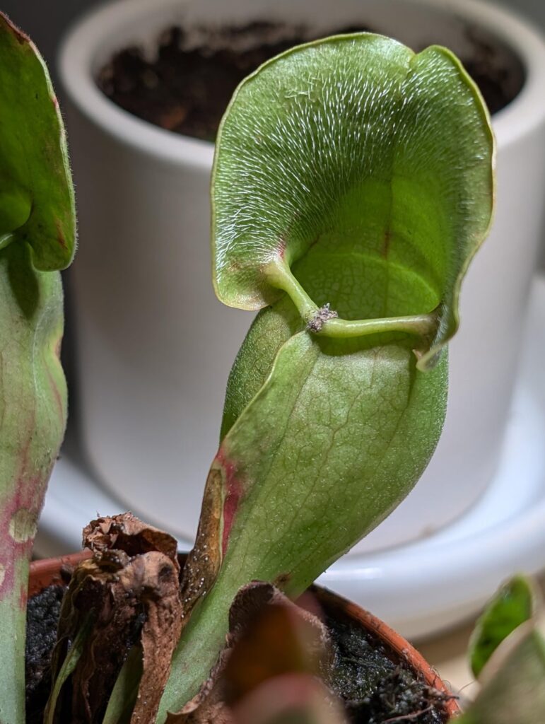 What's is this and how do I address it