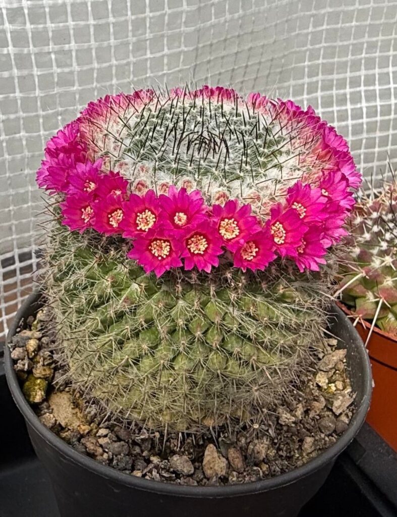 Loving the spring!!