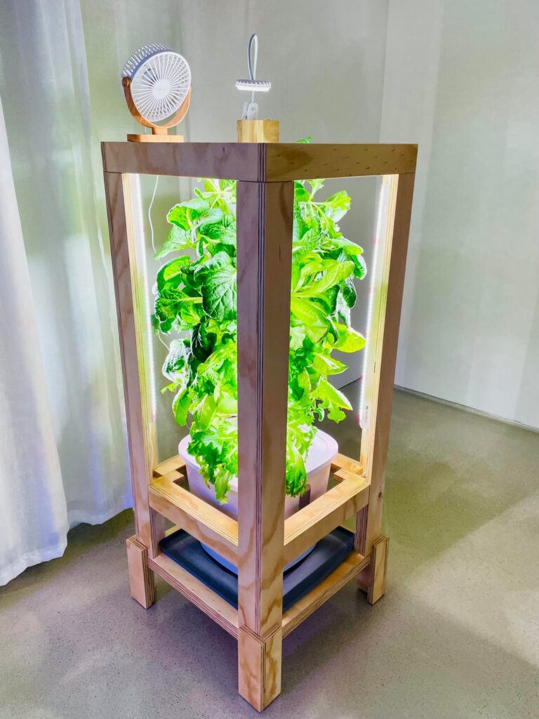 Sharing my indoor hydroponic tower, growing Tatsoi, lettuce, kale, arugula
