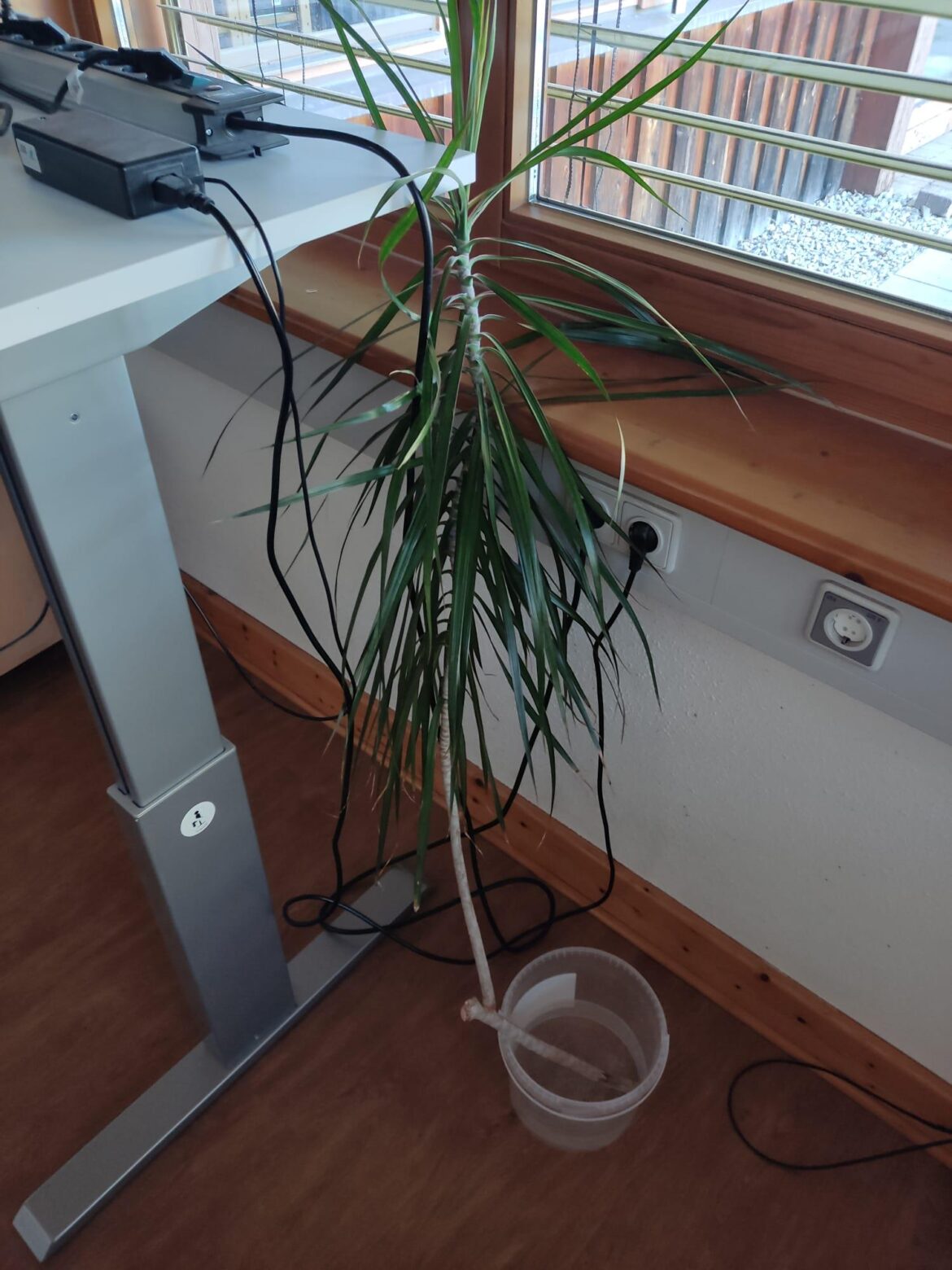 How do I best go about this?