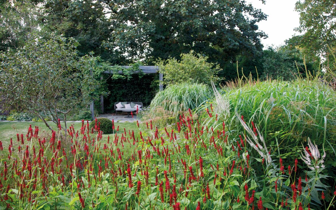 garden by moss studio