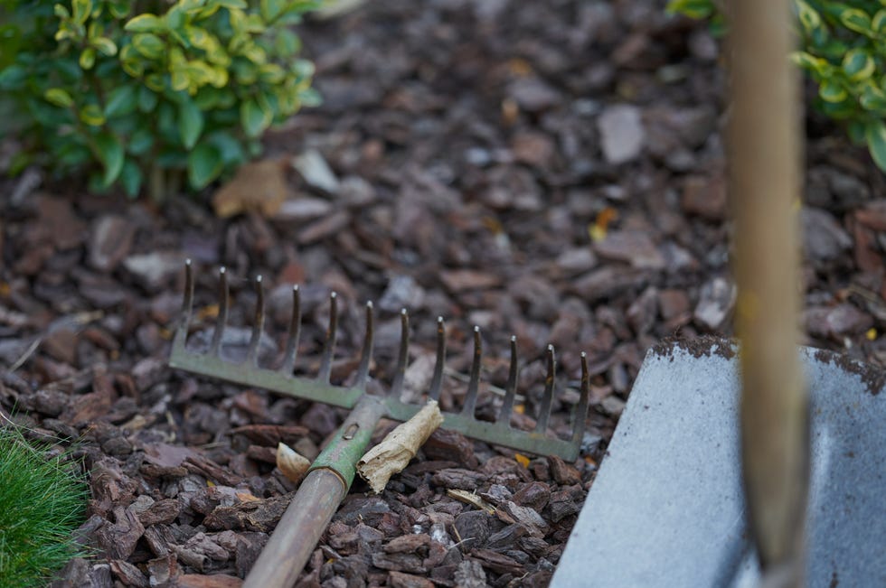 mulching mistakes mulching mistakes