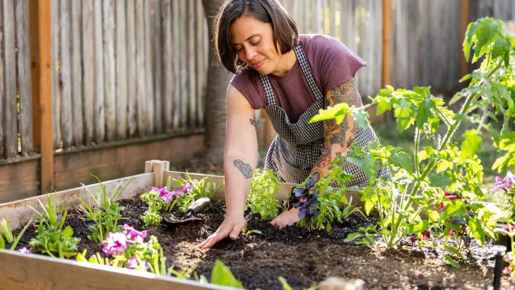 Why Gardening Is Beneficial for Your Health Search Icon