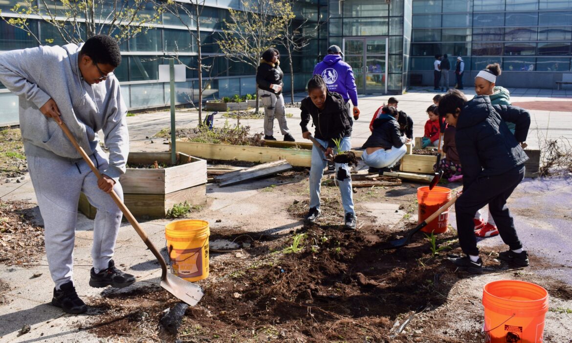 Students Build Garden Beds In Newhallville