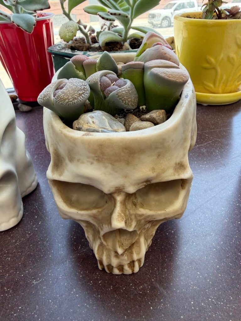 Braaaains!