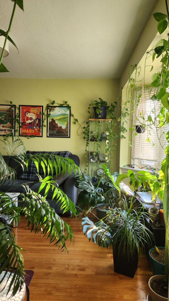 Friend's Living Room - Thought you guys might enjoy.