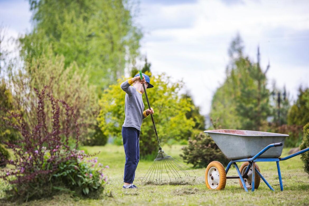 This simple tool makes weeding so easy, my 6-year-old can use it — and today it’s on sale AOL