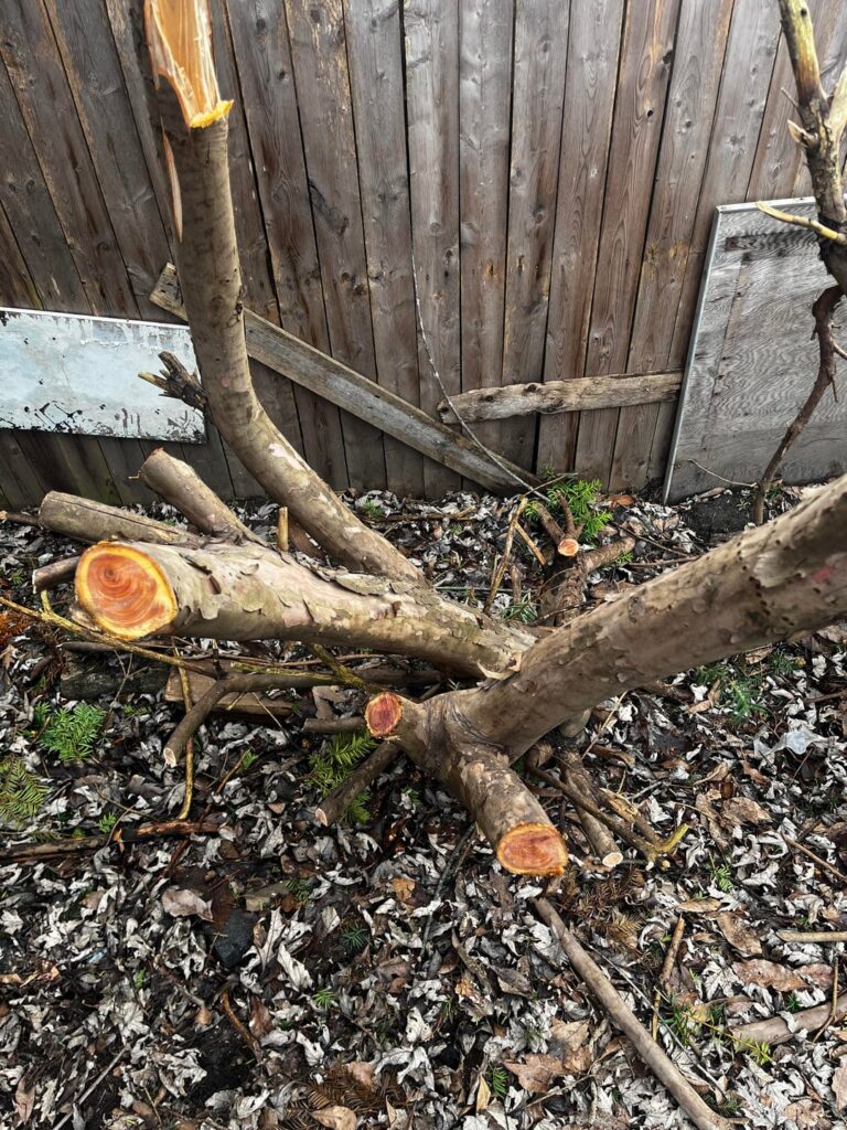 compost question