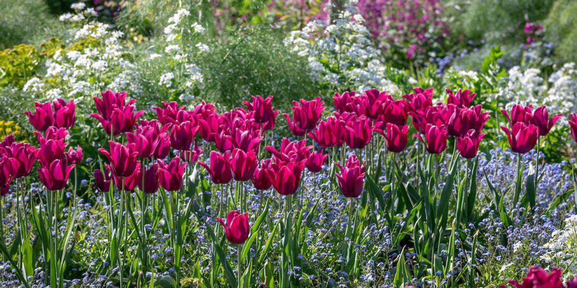 Gardening jobs for April – Which? Gardening jobs for April - Which?
