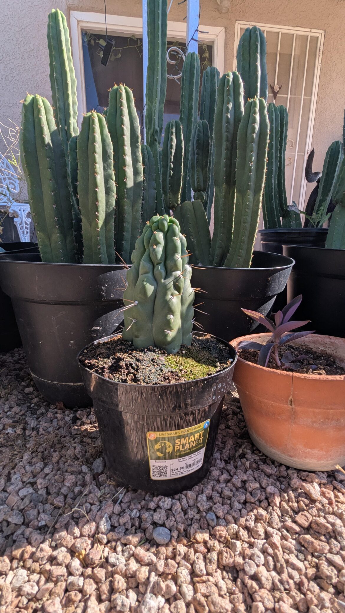 Stoked to add this guy to the family