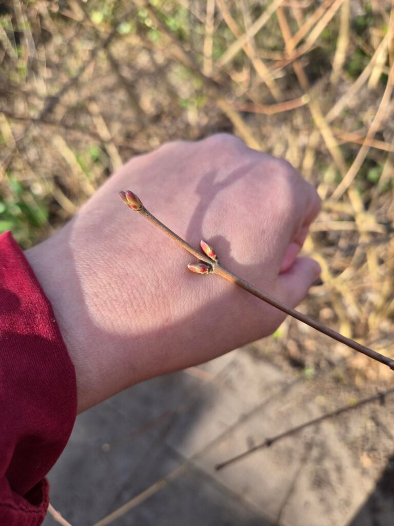 What are these?