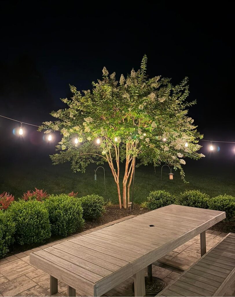 Did they butcher my tree?