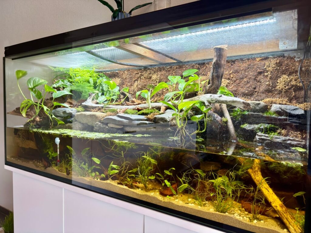First Paludarium