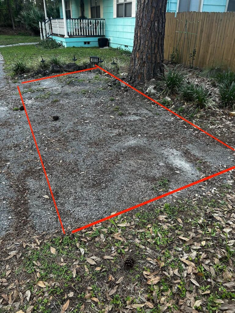 Driveway removal for pine tree roots