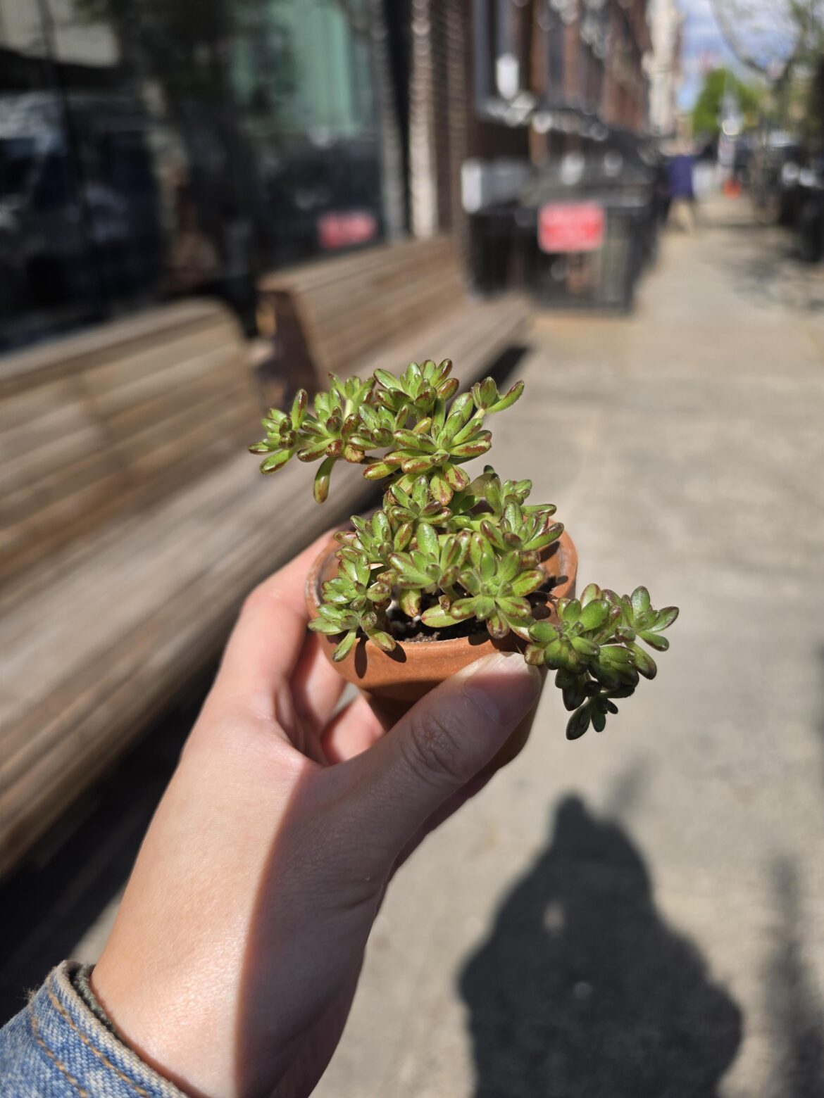 Got myself this lil cutie today